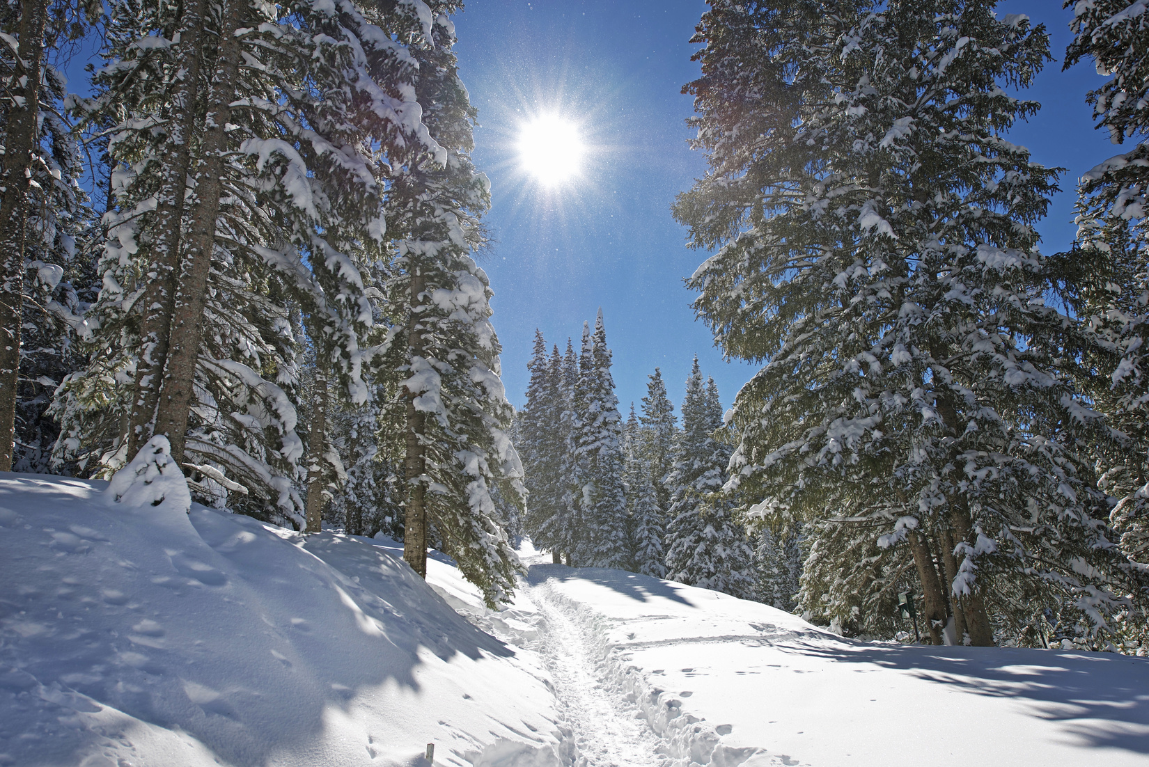 Winter Mountain Trail